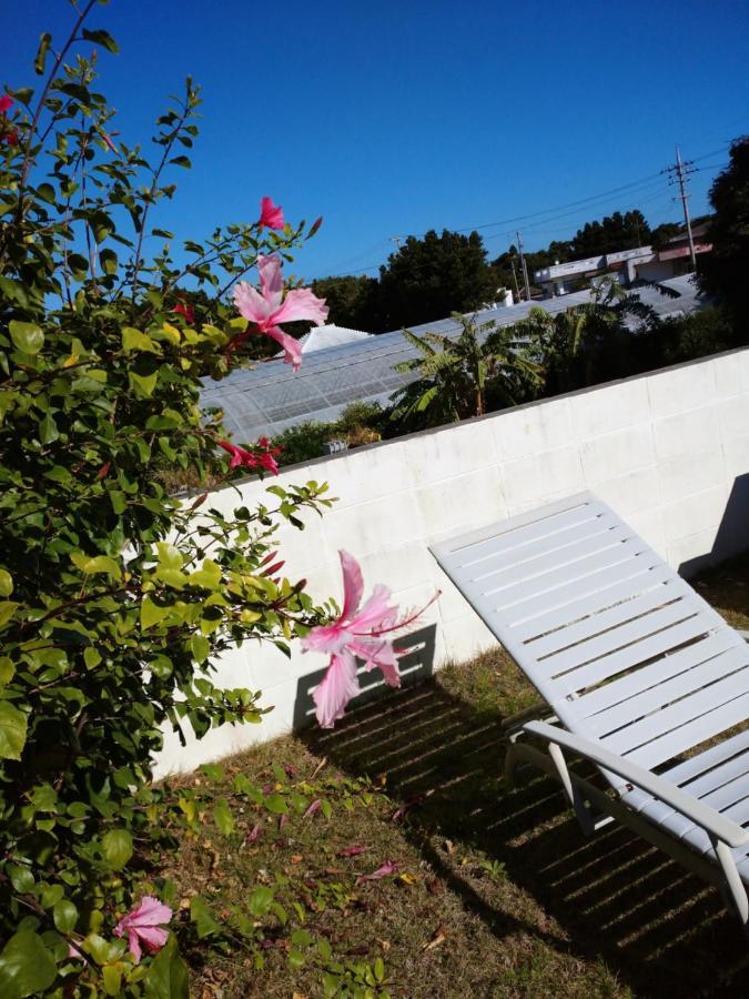 מוטובו Sesoko Island Guest House Kafuu Village מראה חיצוני תמונה