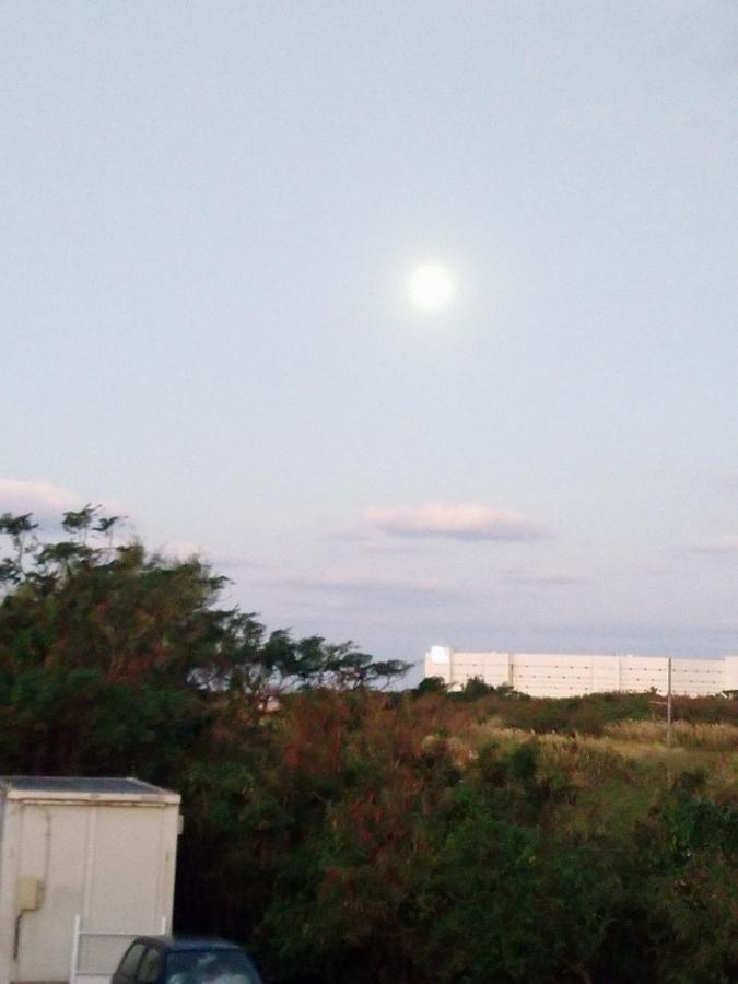 מוטובו Sesoko Island Guest House Kafuu Village מראה חיצוני תמונה