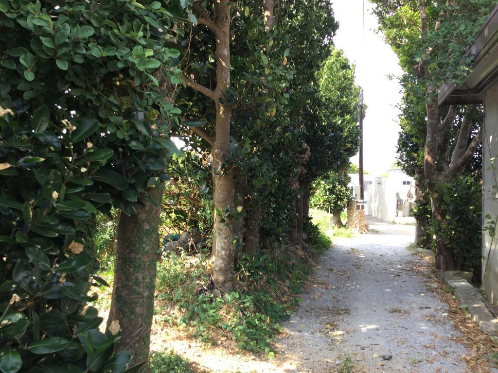 מוטובו Sesoko Island Guest House Kafuu Village מראה חיצוני תמונה