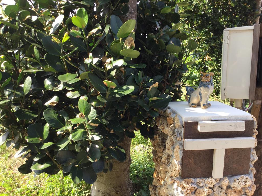 מוטובו Sesoko Island Guest House Kafuu Village מראה חיצוני תמונה